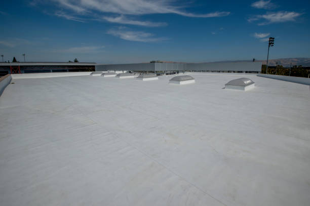 Best Emergency Roof Repair Services  in , HI