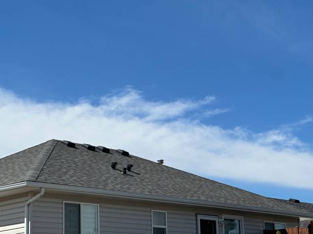 Best Asphalt Shingles Roofing  in , HI